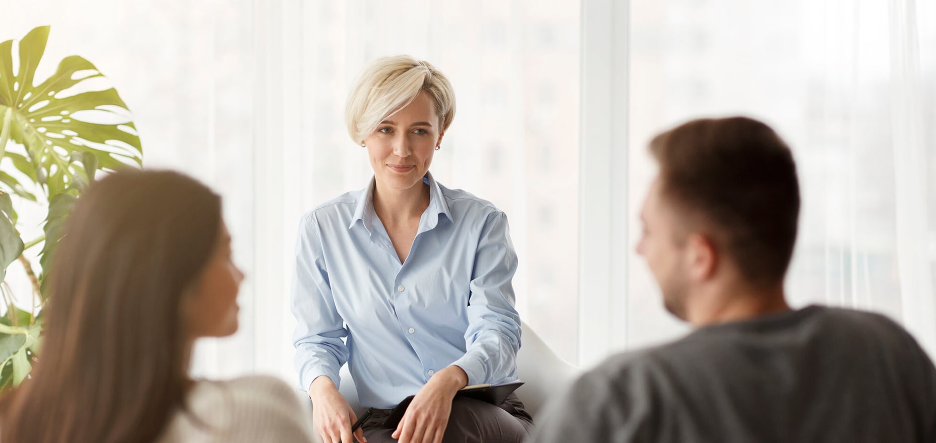 Seed Oils: What Your Doctor Isn't Telling You illustration